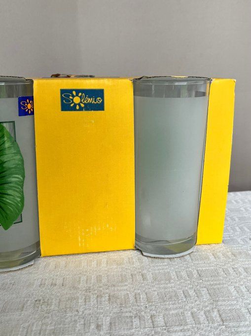 Lot de 6 verres à eau, à sirop, soda ....  Au décor de feuille verte, Solémio, Neufs