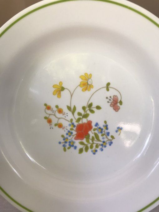 Service de table vintage, assiettes creuses et plates, Corelle by Corning Modèle Wild flowers